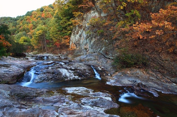 전북특별자치도는 무주군 '구천동 자연품길(국도37호선, 12km)'이 국토부가 주관한 '2025 대한민국 관광도로'에 최종 선정됐다.